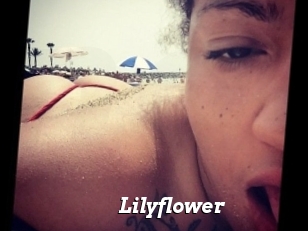 Lilyflower