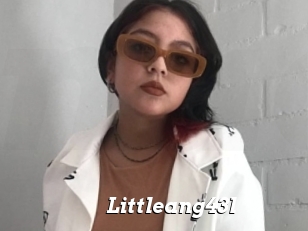 Littleang43l