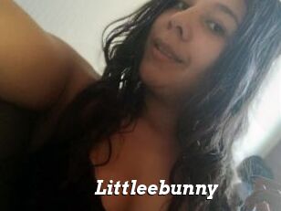 Littleebunny