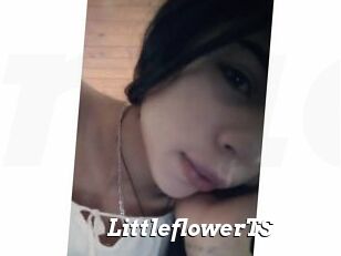 LittleflowerTS