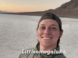 Littleomegaluka