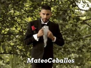 MateoCeballos