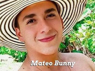 Mateo_Bunny