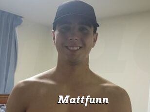 Mattfunn