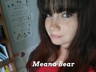 Meana_Bear