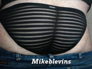 Mikeblevins