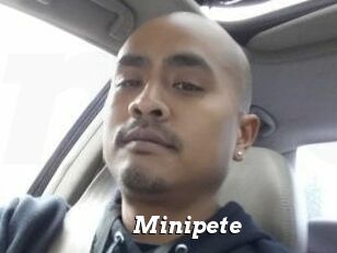 Minipete