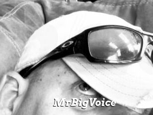 MrBigVoice