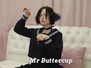 Mr_Buttercup