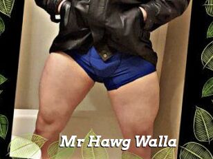 Mr_Hawg_Walla