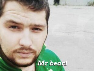 Mr_bear1