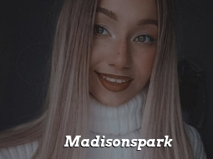 Madisonspark