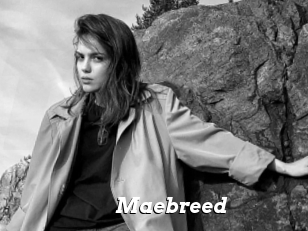 Maebreed