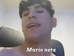 Mario_neta