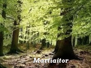 Martiaitor