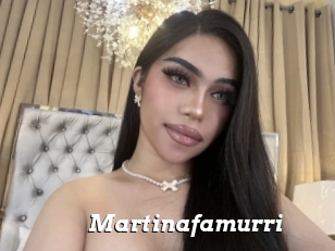 Martinafamurri