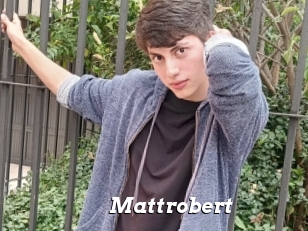 Mattrobert