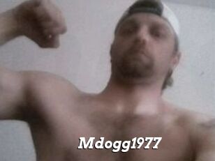 Mdogg1977