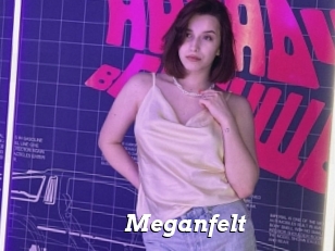 Meganfelt