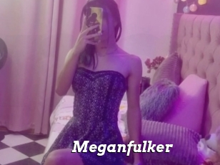 Meganfulker