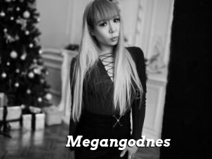 Megangodnes