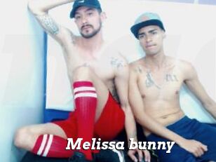 Melissa_bunny