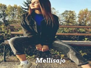 Mellisajo