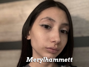 Merylhammett