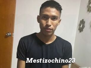 Mestizochino23