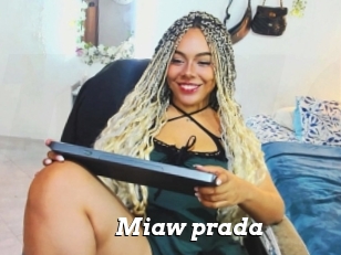 Miaw_prada