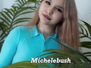 Michelebush