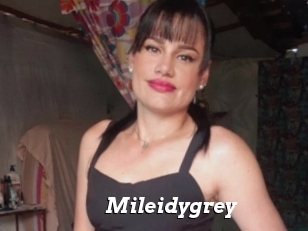 Mileidygrey