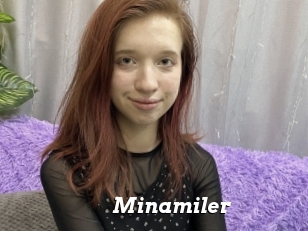 Minamiler