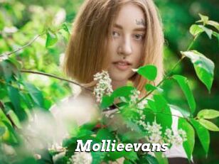 Mollieevans