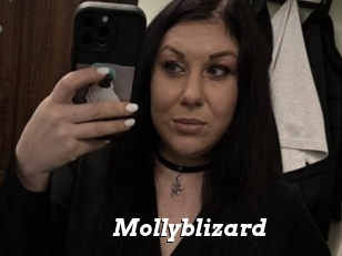 Mollyblizard