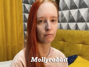 Mollyrabbit