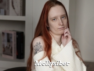 Mollysiber