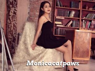 Monicacatpaws