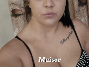 Muisor