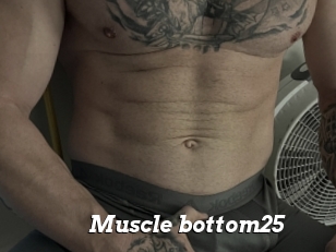 Muscle_bottom25