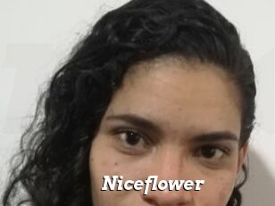 Nice_flower