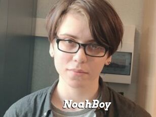 NoahBoy