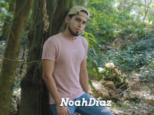 NoahDiaz