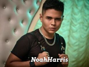 NoahHarris