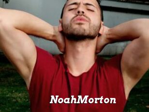 NoahMorton