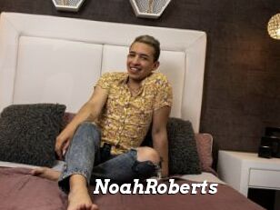 NoahRoberts