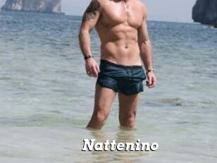 Nattenino