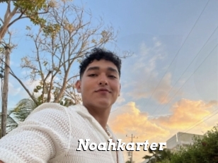 Noahkarter