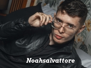 Noahsalvattore