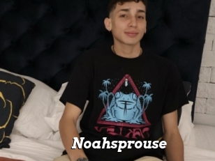 Noahsprouse